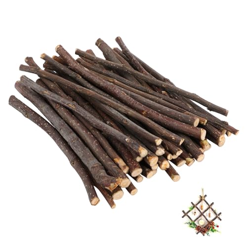 SHINEOFI 1 Satz Klebstöcke Mini Kunst Wieder Auffüllbar Tempera Weihnachten Basteln Bastelmaterial Weihnachten Naturvibes Holzstäbchen Trockene Äste Natürliche Stöcke Hölzern 40 Stück von SHINEOFI