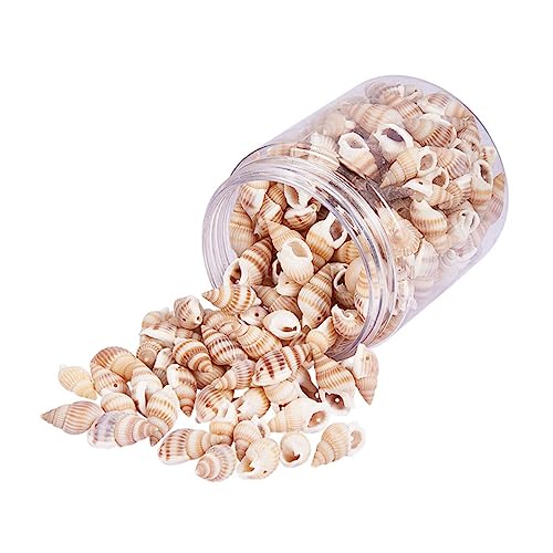 SHINEOFI 1 Schachtel Natürliche Kleine Deko für Strand und Meeresthema Vielseitige Diy Bastelcharms für Kerzen Vasenfüllung Aquariumdeko und Tropische Partyaccessoires von SHINEOFI