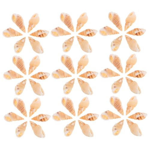 SHINEOFI 100 Stück Anhänger für Schmuckherstellung Handgefertigte Seeschnecken Charms für Armbänder und Ohrringe für Diy Projekte und Bastelarbeiten SHINEOFI 100 Stück Anhänger für Schmuckherstellung Handgefertigte Seeschnecken Charms für Armbänder und Ohrringe für Diy Projekte und Bastelarbeiten von SHINEOFI