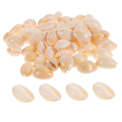 SHINEOFI 100 Stück Conch Muschelschalen Anhänger für Diy Schmuckherstellung Bezaubernde Bastelzutaten für Armbänder und Ohrringe Handwerkszubehör mit Einzigartigem Lochdesign von SHINEOFI