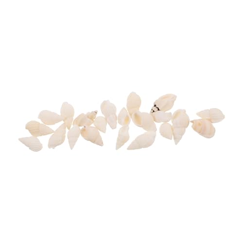 SHINEOFI 20 Stück Weiße Spiralmuscheln für DIY Basteln Natürliche Strand Deko Perlen Handgefertigte Meeres und Muschelmotiven für Kerzenherstellung und Partydekoration SHINEOFI 20 Stück Weiße Spiralmuscheln für DIY Basteln Natürliche Strand Deko Perlen Handgefertigte Meeres und Muschelmotiven für Kerzenherstellung und Partydekoration von SHINEOFI