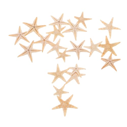 SHINEOFI 20pcs Beach Thema Mini Sea Star Für DIY Projects Natürliche Seestar Statue Für Epoxidharz Ozeelle Thema Duft Kerzenherstellung Dekore SHINEOFI 20pcs Beach Thema Mini Sea Star Für DIY Projects Natürliche Seestar Statue Für Epoxidharz Ozeelle Thema Duft Kerzenherstellung Dekore von SHINEOFI