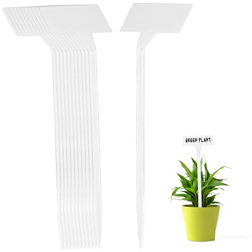 SHINEOFI 35 Stück Dekorativer Pflanzeneinsatz Größe Grünpflanzen Süß Für Garten Außenbereich Etikett Wohnaccessoires Schilder Topfpflanzen Individuelle Markierungen Etiketten SHINEOFI 35 Stück Dekorativer Pflanzeneinsatz Größe Grünpflanzen Süß Für Garten Außenbereich Etikett Wohnaccessoires Schilder Topfpflanzen Individuelle Markierungen Etiketten von SHINEOFI