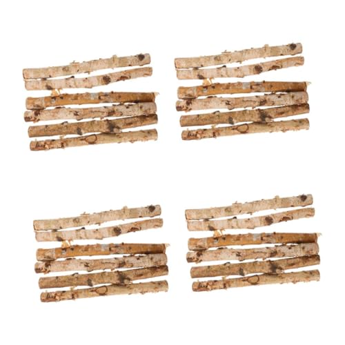 SHINEOFI 4 Sätze Birkenstäbchen Naturholz Holzstäbchen Blumenstecker Trockene Äste Lavagranulat Geäst Zweig Stangen Bastelset Holzstäbe Bastelstöcke Aus Holz Holzscheite Hölzern 6 Stück * 4 von SHINEOFI