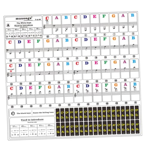 SHINEOFI Transparentes Buntes PVC Klavier Keyboard Aufkleber Dünne Abnehmbare Lernsticker für Anfänger Kinderfreundlich Praktisches Klavier Lernzubehör SHINEOFI Transparentes Buntes PVC Klavier Keyboard Aufkleber Dünne Abnehmbare Lernsticker für Anfänger Kinderfreundlich Praktisches Klavier Lernzubehör von SHINEOFI