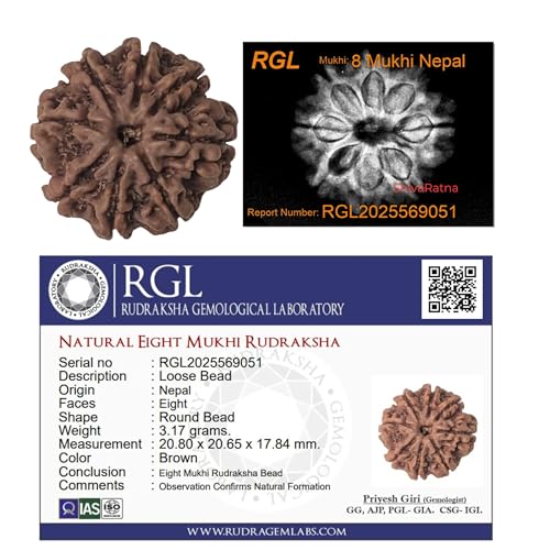 ShivaRatna 8 x Mukhi Röntgen-zertifizierte Rudraksha-Perlen – Nepaler Ursprung – handverlesen – acht Gesichter | gute Form und gereifte Perlen | von SHIVARATNA