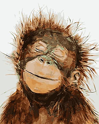SHOMEY Malen nach Zahlen Kit für Erwachsene Kinder Anfänger, AFFE Malen Nach Zahlen Junior, Malset Paint by Numbers Ölgemälde Geschenk Home Haus Deko von SHOMEY