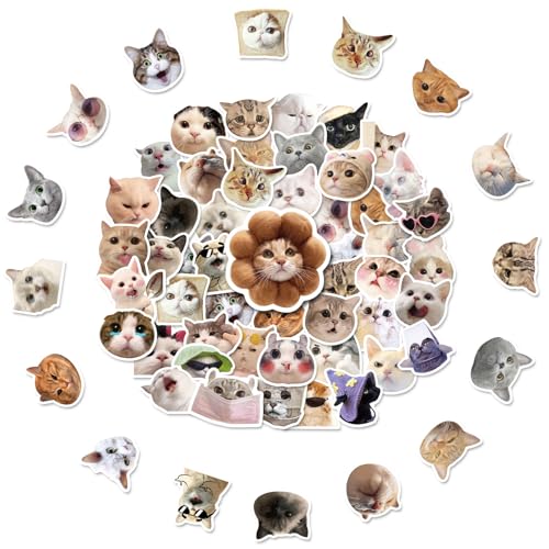 100 Stück Katzen Sticker Set,Cat Lustige Aufkleber Set Katzenaufkleber,Cartoon-Aufkleber Abziehbild Kawaii Sticker Pack,Coole Sticker Bomb Kätzchen,Simons Cat Aufkleber von SHPUJUN