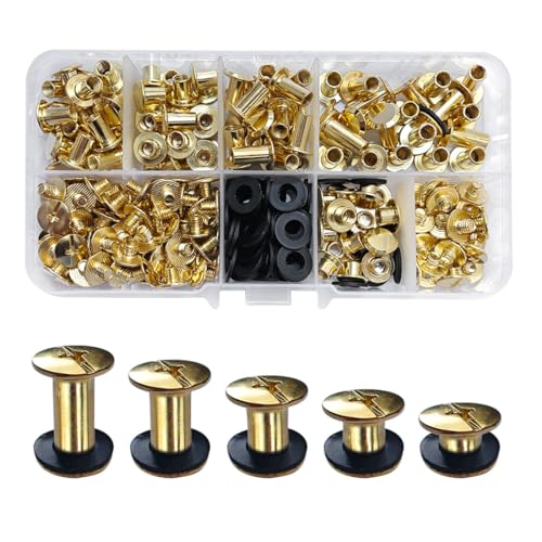 SHSMPXOY 100 Sätze Chicago Buchschrauben Edelstahl M5*4/6/8/10/12mm 5 Größen Chicago Schrauben Buchbinderschrauben Schraubnieten für Leder,Taschen,Bücher,Halsbänder, Rucksäcke,Hundeleinen (Gold) SHSMPXOY 100 Sätze Chicago Buchschrauben Edelstahl M5*4/6/8/10/12mm 5 Größen Chicago Schrauben Buchbinderschrauben Schraubnieten für Leder,Taschen,Bücher,Halsbänder, Rucksäcke,Hundeleinen (Gold) von SHSMPXOY