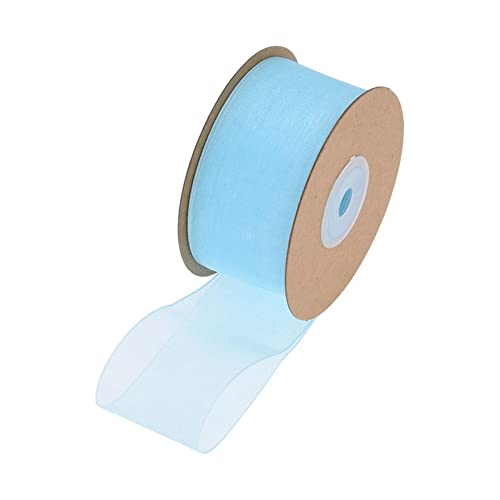 SHTGOI 1 Rolle Organzaband 2,5cm x 22m Organza Bänder Transparentes Schleifenband Chiffonband Geschenkband Chiffon Dekoband Satinband für DIY Geschenkverpackung Blumenstrauß Dekoration Hellblau von SHTGOI