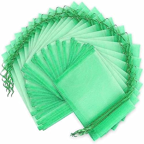 SHTGOI 20 Stück Traubenschutzbeutel Obst Schutzbeutel Organzabeutel mit Zugband Garten Netzbeutel Weintrauben Schutzbeutel Fruchtbeutel Zum Schutz vor Wespen, Vögel und Fliegen 30 * 40cm Dunkelgrün SHTGOI 20 Stück Traubenschutzbeutel Obst Schutzbeutel Organzabeutel mit Zugband Garten Netzbeutel Weintrauben Schutzbeutel Fruchtbeutel Zum Schutz vor Wespen, Vögel und Fliegen 30 * 40cm Dunkelgrün von SHTGOI