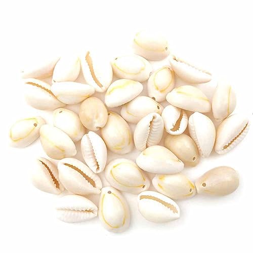 SHTGOI Natürlichen Muschel Bastelnmuscheln mit Löcher Spirale konisch Muscheln zum Basteln Jakobsmuschel Anhänger Strand Schmuck für DIY Schmuck Machen Oder Deco Handwerk Beige# 9x15mm 100g SHTGOI Natürlichen Muschel Bastelnmuscheln mit Löcher Spirale konisch Muscheln zum Basteln Jakobsmuschel Anhänger Strand Schmuck für DIY Schmuck Machen Oder Deco Handwerk Beige# 9x15mm 100g von SHTGOI