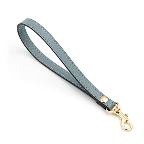 SHTGOI PU Leder Handschlaufe Schlüsselanhänger Ersatz Kurz Armband Taschengriffe Lederband mit Karabinerhaken Taschengurt für Handtaschen Geldbörse Clutch Wristlet Purse Keychain Pouch Hellblau SHTGOI PU Leder Handschlaufe Schlüsselanhänger Ersatz Kurz Armband Taschengriffe Lederband mit Karabinerhaken Taschengurt für Handtaschen Geldbörse Clutch Wristlet Purse Keychain Pouch Hellblau von SHTGOI