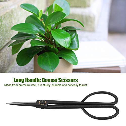 SHUAIGUO Bonsai -Schnittschere 205 Mm Langes Griff Trimmwerkzeug für Knospenblätter Premium -Stahlblätter Zum Präzisionsschneiden von SHUAIGUO