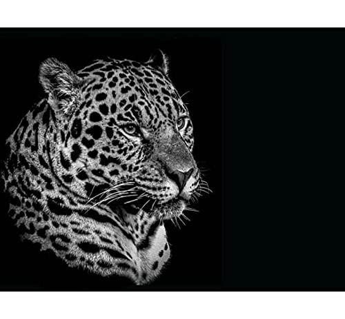 Kreuzstich Stickpackung Stickbild Stickvorlage Vorgedruckt Stickset-Tier Jaguar-DIY Handarbeit Vorgedruckt Sticken Kreativität Home Decor 11CT (Vorgedruckte Leinwand)40x50cm von SHYHXQH