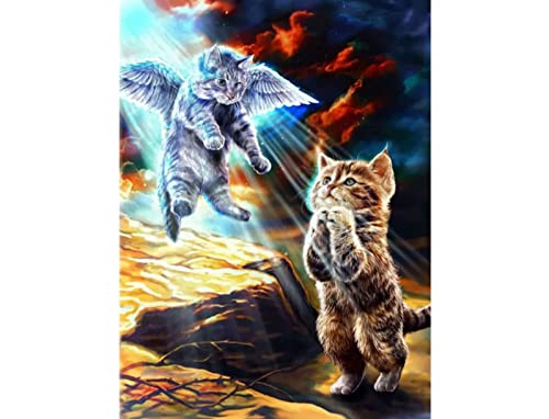 Kreuzstich Stickpackungen,Katze Tier Engel,11CT Kreuzstich Set Vorgedruckt,Stickbilder Vorgedruckt Kreuzstich für Wandkunst-Heimdekoration 40CMX50cm Kreuzstich Stickpackungen,Katze Tier Engel,11CT Kreuzstich Set Vorgedruckt,Stickbilder Vorgedruckt Kreuzstich für Wandkunst-Heimdekoration 40CMX50cm von SHYHXQH