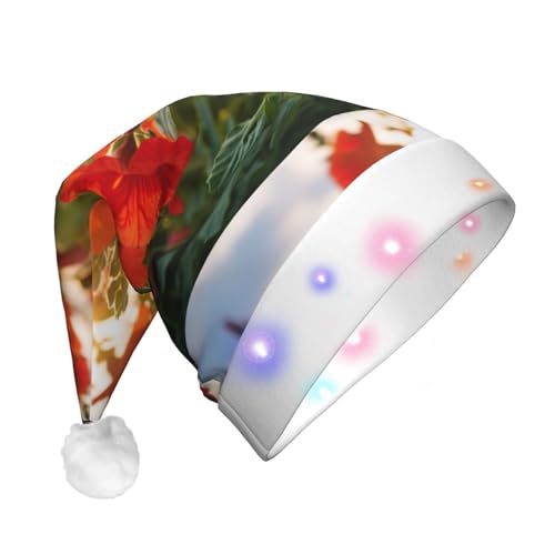 SHuWeiD Saflor-Weihnachtsmannmütze, Flanell, mit LED-Lichtern, Weihnachtsmannmütze, Weihnachtsmannmütze, Weihnachtsmannmütze, Weihnachtsmannmütze, Weihnachtsmannmütze, SHuWeiD Saflor-Weihnachtsmannmütze, Flanell, mit LED-Lichtern, Weihnachtsmannmütze, Weihnachtsmannmütze, Weihnachtsmannmütze, Weihnachtsmannmütze, Weihnachtsmannmütze, von SHuWeiD