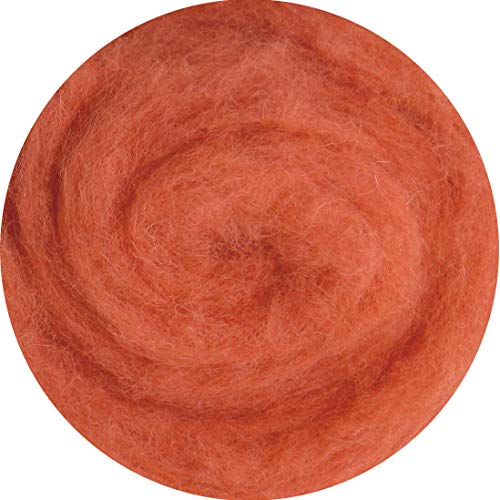 SIA COLLA-S Filzwolle 100% Wolle zum Filzen Trockenfilzen Nassfilzen - Rosa Rot Braun Ziegel 75 g von SIA COLLA-S
