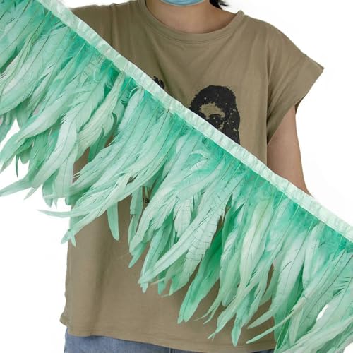 25–30 cm orangefarbener Hahn Fasan Schwanz Federn Besatz Fransen für Handwerk Karneval Party Kleidung Kostüm Feder Band Dekoration 10 m 25–30 cm orangefarbener Hahn Fasan Schwanz Federn Besatz Fransen für Handwerk Karneval Party Kleidung Kostüm Feder Band Dekoration 10 m von SIHAOYY