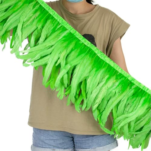 25–30 cm orangefarbener Hahn Fasan Schwanz Federn Besatz Fransen für Handwerk Karneval Party Kleidung Kostüm Feder Band Dekoration 10 m 25–30 cm orangefarbener Hahn Fasan Schwanz Federn Besatz Fransen für Handwerk Karneval Party Kleidung Kostüm Feder Band Dekoration 10 m von SIHAOYY