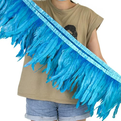 25–30 cm orangefarbener Hahn Fasan Schwanz Federn Besatz Fransen für Handwerk Karneval Party Kleidung Kostüm Feder Band Dekoration 10 m 25–30 cm orangefarbener Hahn Fasan Schwanz Federn Besatz Fransen für Handwerk Karneval Party Kleidung Kostüm Feder Band Dekoration 10 m von SIHAOYY