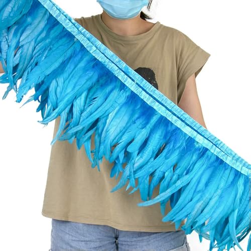25–30 cm orangefarbener Hahn Fasan Schwanz Federn Besatz Fransen für Handwerk Karneval Party Kleidung Kostüm Feder Band Dekoration 10 m 25–30 cm orangefarbener Hahn Fasan Schwanz Federn Besatz Fransen für Handwerk Karneval Party Kleidung Kostüm Feder Band Dekoration 10 m von SIHAOYY