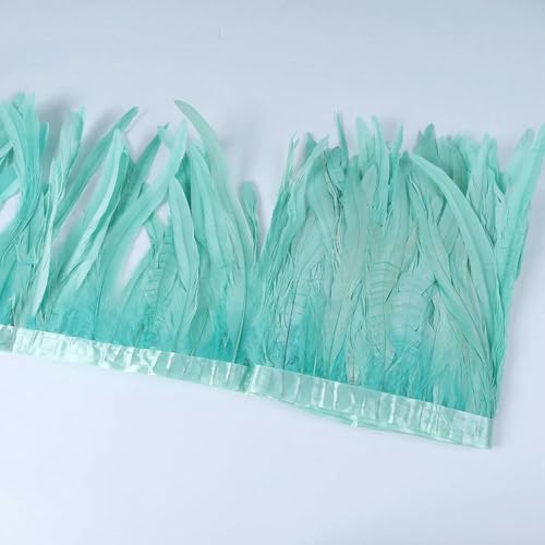 2M Hahnschwanz Feder Fransenborte - DIY Nähen Band für Karneval Kostüm Zubehör & Kleidung Dekor 2M Hahnschwanz Feder Fransenborte - DIY Nähen Band für Karneval Kostüm Zubehör & Kleidung Dekor von SIHAOYY
