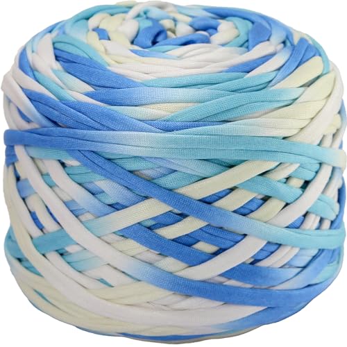 400 g T-Shirt-Garn, elastisches Stoff-Häkeltuchgarn zum Häkeln, 130 Meter, Spaghetti-Stricken für Handtasche, Korb, Kissen, Häkelprojekte, Heimdekoration, 25 400 g T-Shirt-Garn, elastisches Stoff-Häkeltuchgarn zum Häkeln, 130 Meter, Spaghetti-Stricken für Handtasche, Korb, Kissen, Häkelprojekte, Heimdekoration, 25 von SIMEIQI