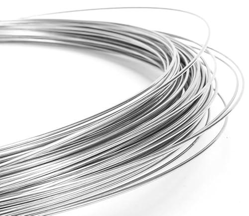 SINJEUN 2 Rolle Edelstahldraht 0,8mm x 100m, Edelstahl Draht zum Basteln, Harter Draht für Handwerk, Insgesamt 200m SINJEUN 2 Rolle Edelstahldraht 0,8mm x 100m, Edelstahl Draht zum Basteln, Harter Draht für Handwerk, Insgesamt 200m von SINJEUN