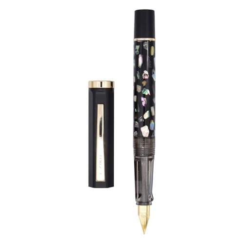 Jinhao 58 Füllfederhalter, Iridium, extra feine Feder mit Muschelschnitzerei, klassisches Design, glattes Schreiben, Füllfederhalter mit Tintenkonverter, Schwarz von SIPLIV