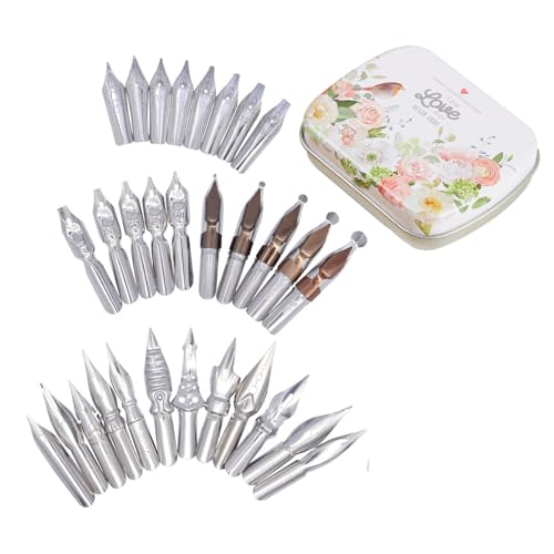 SIPLIV 30 Stück Edelstahl Comic Pen Feder Kalligraphie Stift Spitzen Dip Stifte Set Manga Federn Füllfederhalter Federn Ersatz mit Stahl Aufbewahrungsbox Muster D von SIPLIV