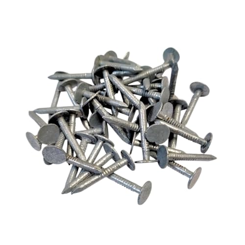 Clout Nail 25 mm verzinkte Dachschuppen Filz Schlagkopfnägel für Heimwerker, Handwerk und Holzbearbeitung, 100 g Clout Nail 25 mm verzinkte Dachschuppen Filz Schlagkopfnägel für Heimwerker, Handwerk und Holzbearbeitung, 100 g von SISI UK