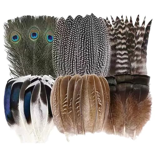 48 Stück Naturfedern in Großpackung, Verschiedene natürliche Federn, Teiliges Set Pfauenfeder, Peacock Feather, Naturfedern für Bastelarbeiten, Fasanenfedern zum Basteln DIY-Schmuck, Hochzeitsfeier 48 Stück Naturfedern in Großpackung, Verschiedene natürliche Federn, Teiliges Set Pfauenfeder, Peacock Feather, Naturfedern für Bastelarbeiten, Fasanenfedern zum Basteln DIY-Schmuck, Hochzeitsfeier von SKDFHOD
