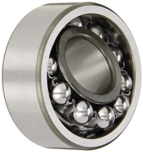 SKF 2306 selbstausrichtendes Kugellager von SKF