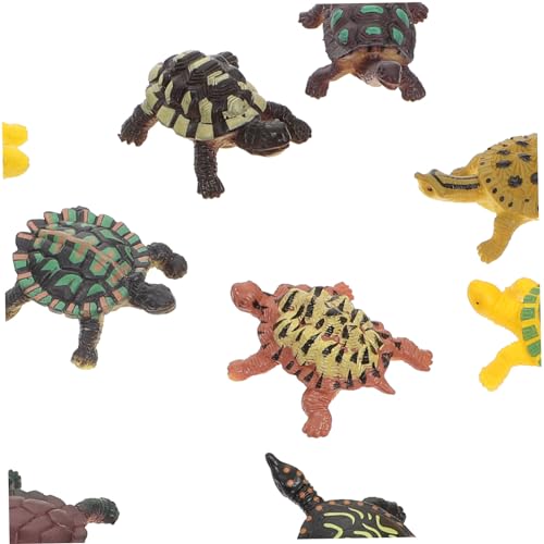 SKISUNO 12Stücke Realistische Schildkröte Modell aus Kunststoff Organismus Deko für Aquarien und Tischdekoration für Detailgetreue Verarbeitung und Langlebig SKISUNO 12Stücke Realistische Schildkröte Modell aus Kunststoff Organismus Deko für Aquarien und Tischdekoration für Detailgetreue Verarbeitung und Langlebig von SKISUNO