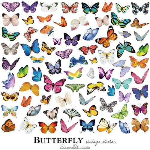 320 Stück Schmetterling Aufkleber Schmetterlings Aufkleber Transparente Dekorative Aufkleber DIY Selbstklebende Schmetterlingsdekoration Bullet Journal Sticker für Sammelalben, Fotoalben, Grußkarten von SKIWAX