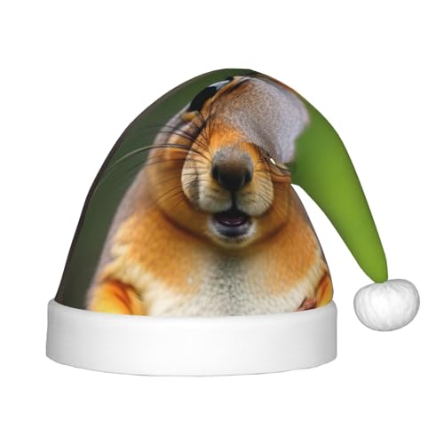 SKKNT Weihnachtsmütze mit Eichhörnchen-Motiv, lustiger Tierdruck, Weihnachtszubehör, Uni, Outdoor, Weihnachten, Partys, Geschenk, Urlaub SKKNT Weihnachtsmütze mit Eichhörnchen-Motiv, lustiger Tierdruck, Weihnachtszubehör, Uni, Outdoor, Weihnachten, Partys, Geschenk, Urlaub von SKKNT
