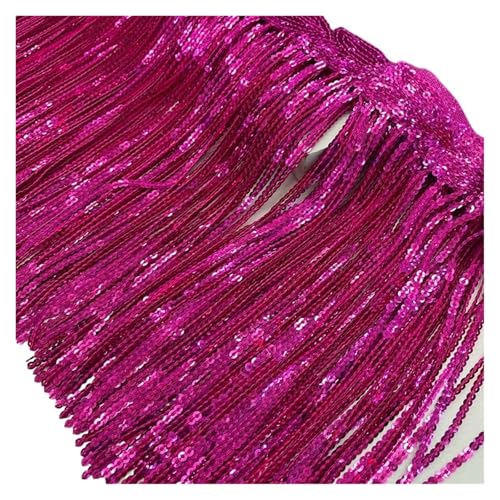 Fransenquastenbesatz, 2 Yards 20 cm Paillettenquaste Spitze Fransenbesatz Netzstoff DIY Performance Rock Hochzeitskleid Dekor Nähmaterial Fransenbesatz Quastenspitze (08)(Color16) von SLSKO