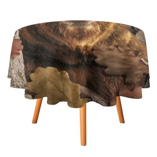 Abstrakte rustikale Tischdecken mit Schwarzbärenmotiv, rund, 91,4 cm, für Tische, Lodge-Jagdthema, Camouflage, Herbst, Schwarzbär-Tischdecken für Küche und Esszimmer Abstrakte rustikale Tischdecken mit Schwarzbärenmotiv, rund, 91,4 cm, für Tische, Lodge-Jagdthema, Camouflage, Herbst, Schwarzbär-Tischdecken für Küche und Esszimmer von SMAZDFXX