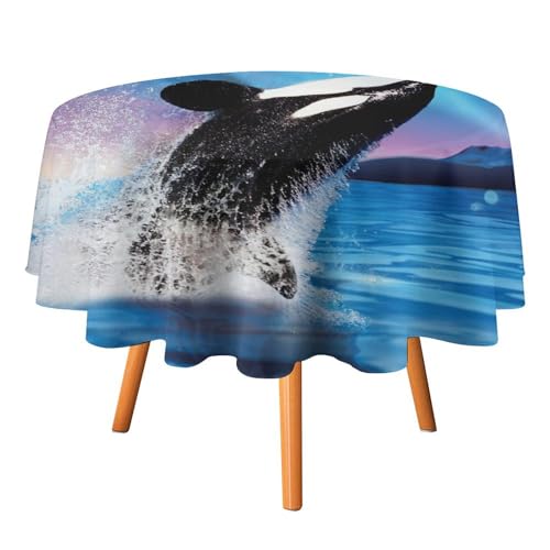 Coole Wal-Tischdecken, rund, 91,4 cm, Fantasie, Sternenhimmel, wunderschöne Aurora, Tiere, Schwarze Wal-Tischdecken, waschbar für den Innen- und Außenbereich Coole Wal-Tischdecken, rund, 91,4 cm, Fantasie, Sternenhimmel, wunderschöne Aurora, Tiere, Schwarze Wal-Tischdecken, waschbar für den Innen- und Außenbereich von SMAZDFXX