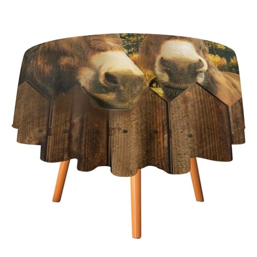 Rustikale Esel-Tischdecken, rund, 152,4 cm, Vintage-Landhaus-Esel, Tiere für Küche und Esszimmer Rustikale Esel-Tischdecken, rund, 152,4 cm, Vintage-Landhaus-Esel, Tiere für Küche und Esszimmer von SMAZDFXX