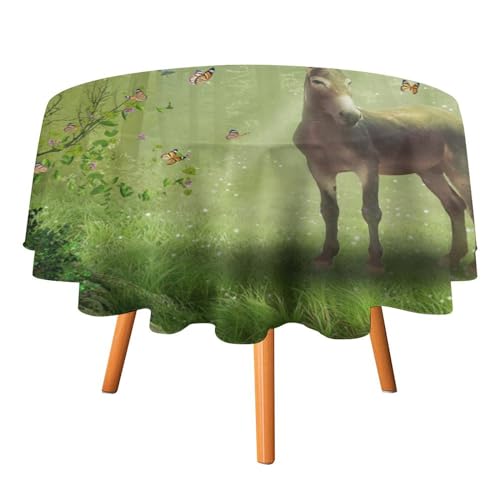 Tischdecke mit Eselmotiv, rund, 91,4 cm, mit lustigen Märchentieren, Esel und Schmetterlingen, für Küche und Esszimmer Tischdecke mit Eselmotiv, rund, 91,4 cm, mit lustigen Märchentieren, Esel und Schmetterlingen, für Küche und Esszimmer von SMAZDFXX