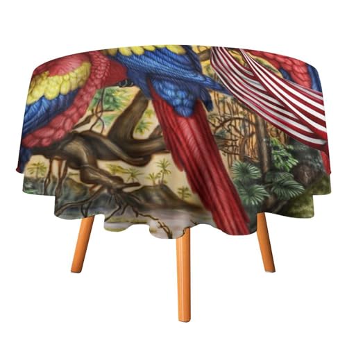 Tischdecken im Retro-Stil mit abstraktem Papagei, rund, 91,4 cm, für Tische, Aquarell-Sommer-Tischdecken mit tropischem Papagei für Küche und Esszimmer Tischdecken im Retro-Stil mit abstraktem Papagei, rund, 91,4 cm, für Tische, Aquarell-Sommer-Tischdecken mit tropischem Papagei für Küche und Esszimmer von SMAZDFXX