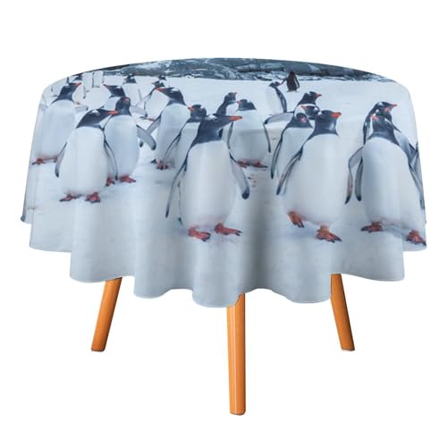 Tischdecken mit Meerestieren und Pinguinen, rund, 91,4 cm, Nord- und Süd-Nautik-Thema, Wildtier-Pinguin-Tischdecken, waschbar für den Innen- und Außenbereich Tischdecken mit Meerestieren und Pinguinen, rund, 91,4 cm, Nord- und Süd-Nautik-Thema, Wildtier-Pinguin-Tischdecken, waschbar für den Innen- und Außenbereich von SMAZDFXX