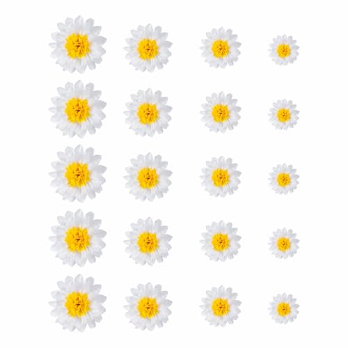 20 Stück Seidenpapier Pompons Deko Papier Blumen Gänseblümchen Sonnenblume Handgefertigte Papierblumenkugeln Weiß Tissue Pom Poms Girlande Dekorpapier für Hochzeits Geburtstag Party(6-12 Zoll) von SMTCM