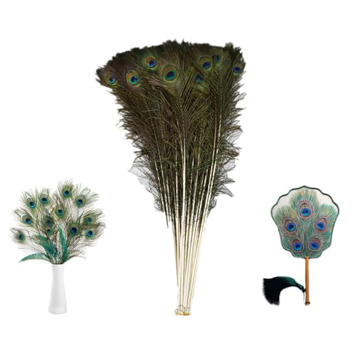 5 Stück Natürliche Pfauenfedern lang 80-90CM Echte Pfauenschwanzfedern Bunte Bastelnfedern Natur Pfau Kostüm schöne Augen Federn Dekorationen für Vase DIY Requisiten Hochzeit Party (Weiß) von SMTCM