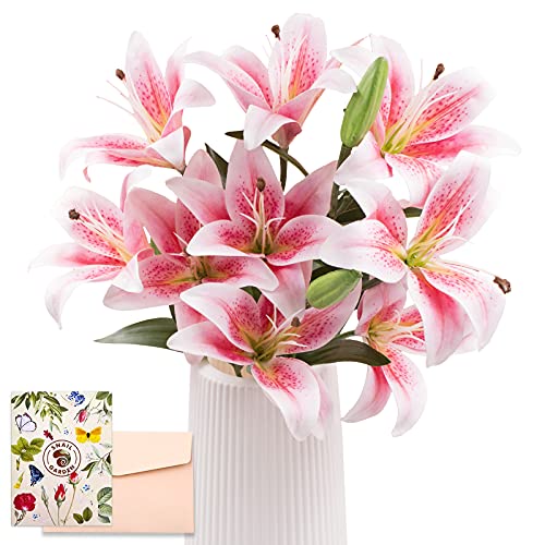 SNAIL GARDEN 12 Köpfe Künstliche Lilien Blumen, 50cm Langer Stiel Lilien Kunstblumen mit 9 Blühende Köpfe & 3 Knospen mit Grußkarte & Papiertüte, Künstliche Blumen für Haus Geschenk Büro Dekor SNAIL GARDEN 12 Köpfe Künstliche Lilien Blumen, 50cm Langer Stiel Lilien Kunstblumen mit 9 Blühende Köpfe & 3 Knospen mit Grußkarte & Papiertüte, Künstliche Blumen für Haus Geschenk Büro Dekor von SNAIL GARDEN