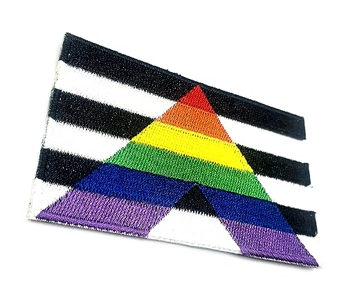 Straight Ally Rainbow Gay Pride LGBT Aufnäher zum Aufbügeln bestickter Stoff zum Aufnähen auf Transfer für Kleidung, 8 cm x 5 cm, rechteckig, 1 Stück Straight Ally Rainbow Gay Pride LGBT Aufnäher zum Aufbügeln bestickter Stoff zum Aufnähen auf Transfer für Kleidung, 8 cm x 5 cm, rechteckig, 1 Stück von SNS Components