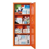 SÖHNGEN Medizinschrank Verbandstoffe ohne Norm orange SÖHNGEN Medizinschrank Verbandstoffe ohne Norm orange von SÖHNGEN