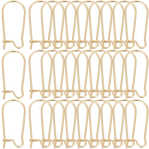 SOFPLATE 1 Box 120 Stück Echte 18K Vergoldete OhrringhakenNieren Ohrring FinderhakenBaumelnde U FörmigeTropfenförmigeLange OhrhakenEdelstahl Ohrhaken Für SchmuckherstellungszubehörDIY HandwerkFrauen von SOFPLATE